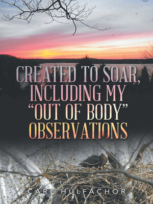 cover image of Created to Soar, Including My "Out of Body" Observations